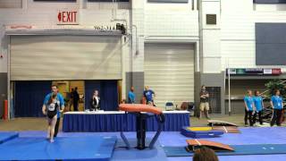 Vault Level 9 Easterns 2013 9.025