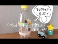 【どんぐり手作りおもちゃ】『ペットボトルで楽しい玉転がし』子どもが夢中に遊べる！