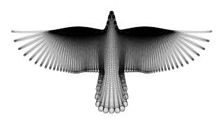 A Bird in Flight | Wikipedia audio article