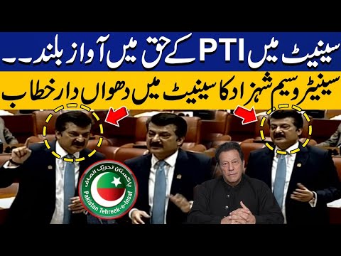 PTI's Senator Shehzad Waseem Aggressive Speech In Senate | Capital TV