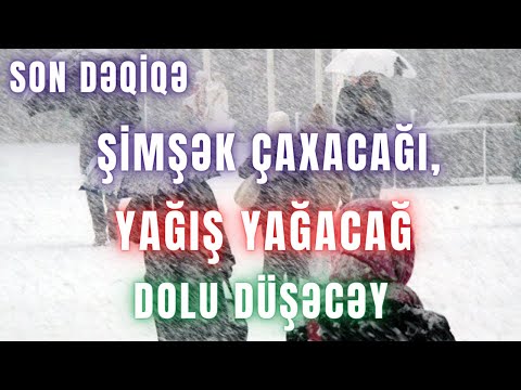 Video: Yenidən Istifadə Edilə Bilən It Bezləri: Rahat, Praktik, Gigiyenik