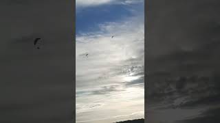 deux parachutés  ils  s'amusent  tôt  à Han sur Nied 57580