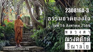 230816A-3 ธรรมชาติของใจ
