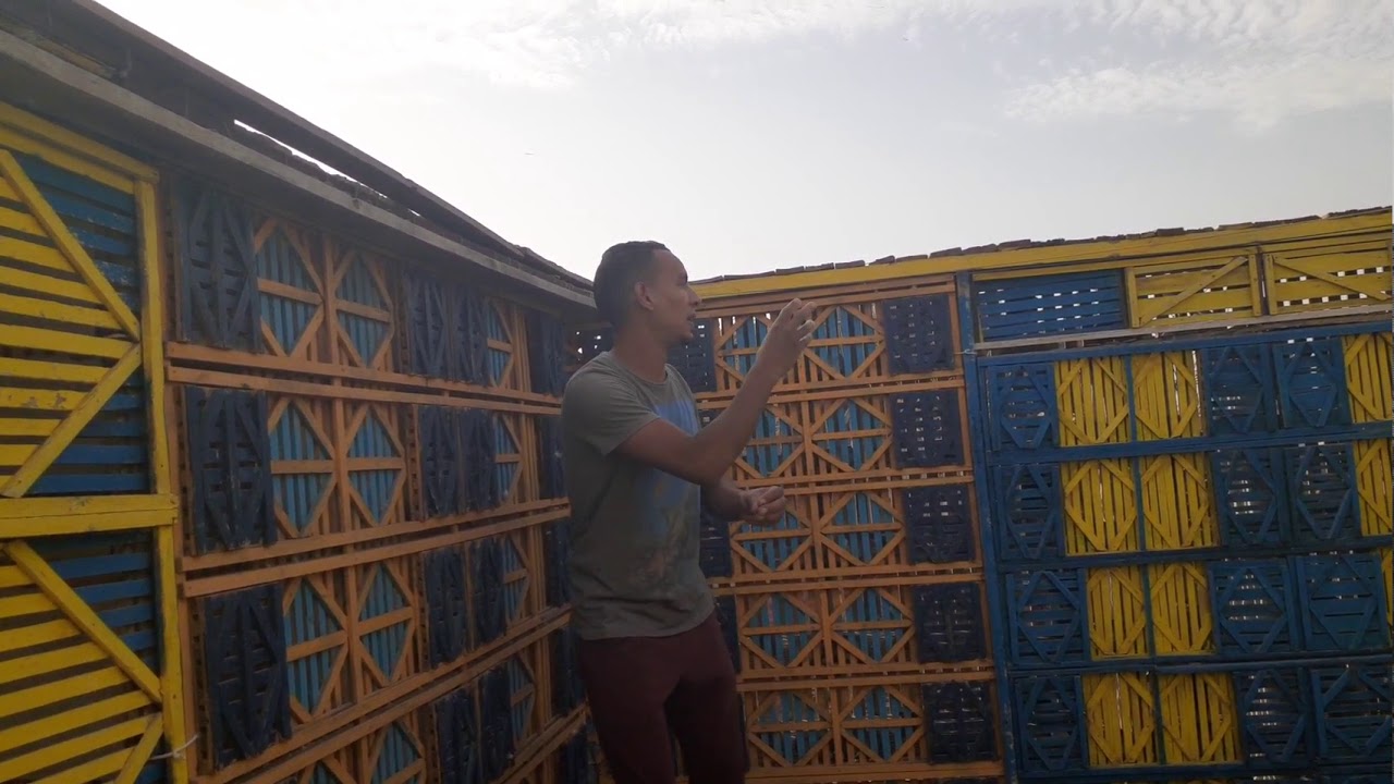 نش الزغلول و تعال نشوف الزغاليل وصلت لمرحله ايه وفرز النتي وهي صغيره الجزء السادس مع /#كوتوادم