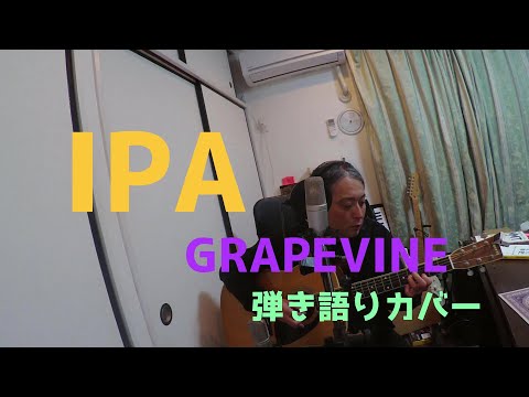 IPA　cover　グレイプバイン　GRAPEVINE　 間違えてもマイペースで気軽に弾き語りカバー