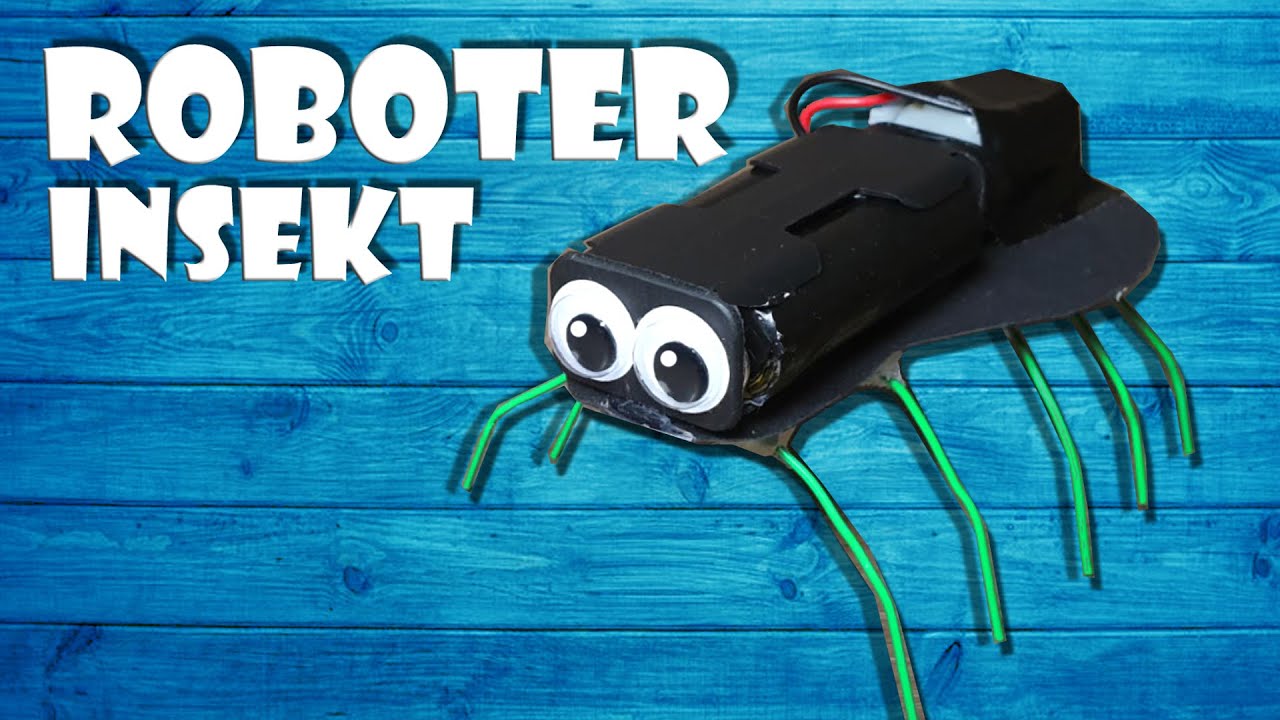 🕷 Insekten Roboter bauen - build insect roboter DIY craft [4K] - YouTube