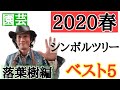 【最新版シンボルツリー！】園芸専門店店長が教えます　「シンボルツリーはどれがいいですか？」にお答えします！２０２０年春絶対チェックすべきベスト５！（落葉樹編）