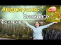 Неизвестная Андалусия: фламинго и  100 фонтанов