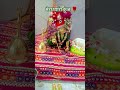 मेरा प्यारा कुंज 🌹 #shyam #laddu #shyamkripa #shyamjibhakti #viral #trending #love #shortsfeed #like