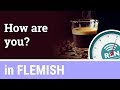 One Minute Flemish Lesson 9 Quiz