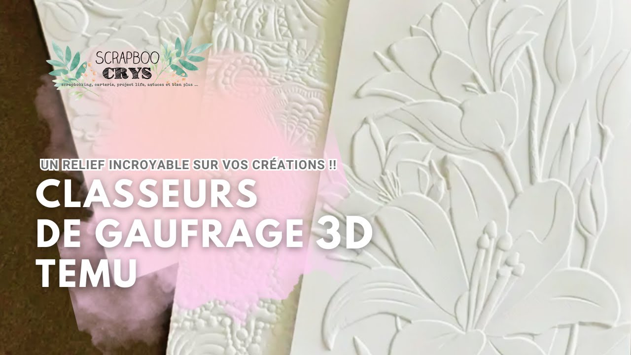 Je teste les CLASSEURS de GAUFRAGE 3D de TEMU ! C'est de la folie, la preuve en vidéo 🤗