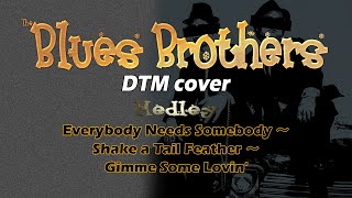 Video thumbnail of "【DTM】The Blues Brothers - Medley / cover | MIDI"