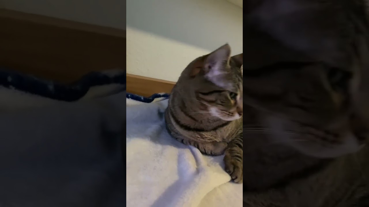 Staring off into the sunset… 