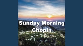 Nocturne No. 20 in C Sharp Minor - Classical Hits, Frédéric Chopin