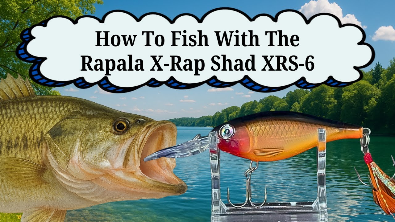 Rapala X-Rap® Shad 6cm 9g Hot Head Suspension