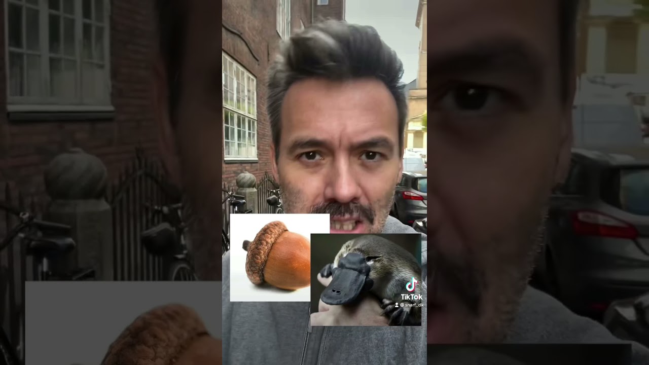 NYT nyt tv-show koncept!