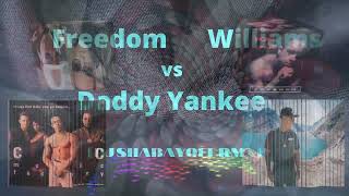 Freedom Williams Vs Daddy Yankee (Dj Shabayoff Rmx)