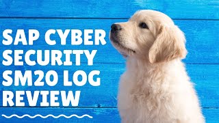 SAP Cyber Security SM20 LOG Review