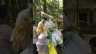 Hidup di desa sangat sejuk #bakulsayurcowag #bakulsayurviral