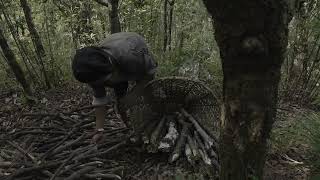 Traditional technology of collecting wood for cooking purpose