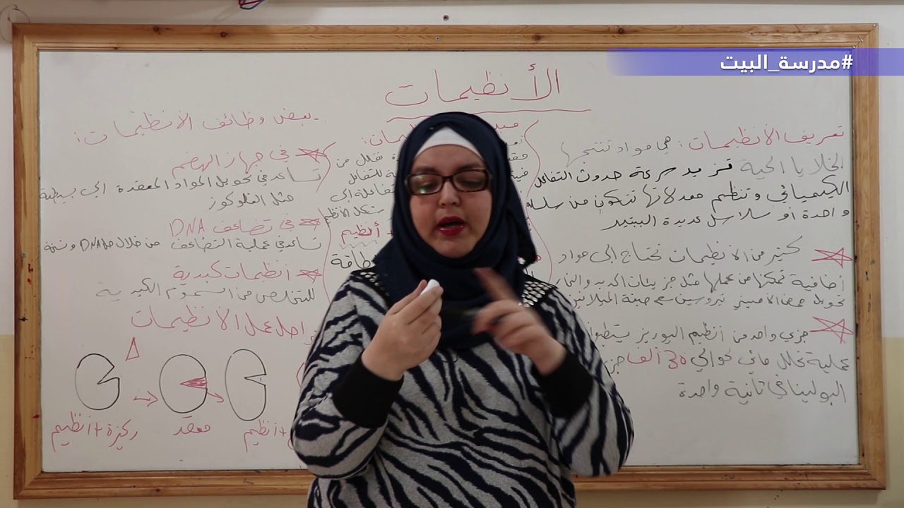 الصف 10  علم الحياة   الوحدة 1  الأنظيمات