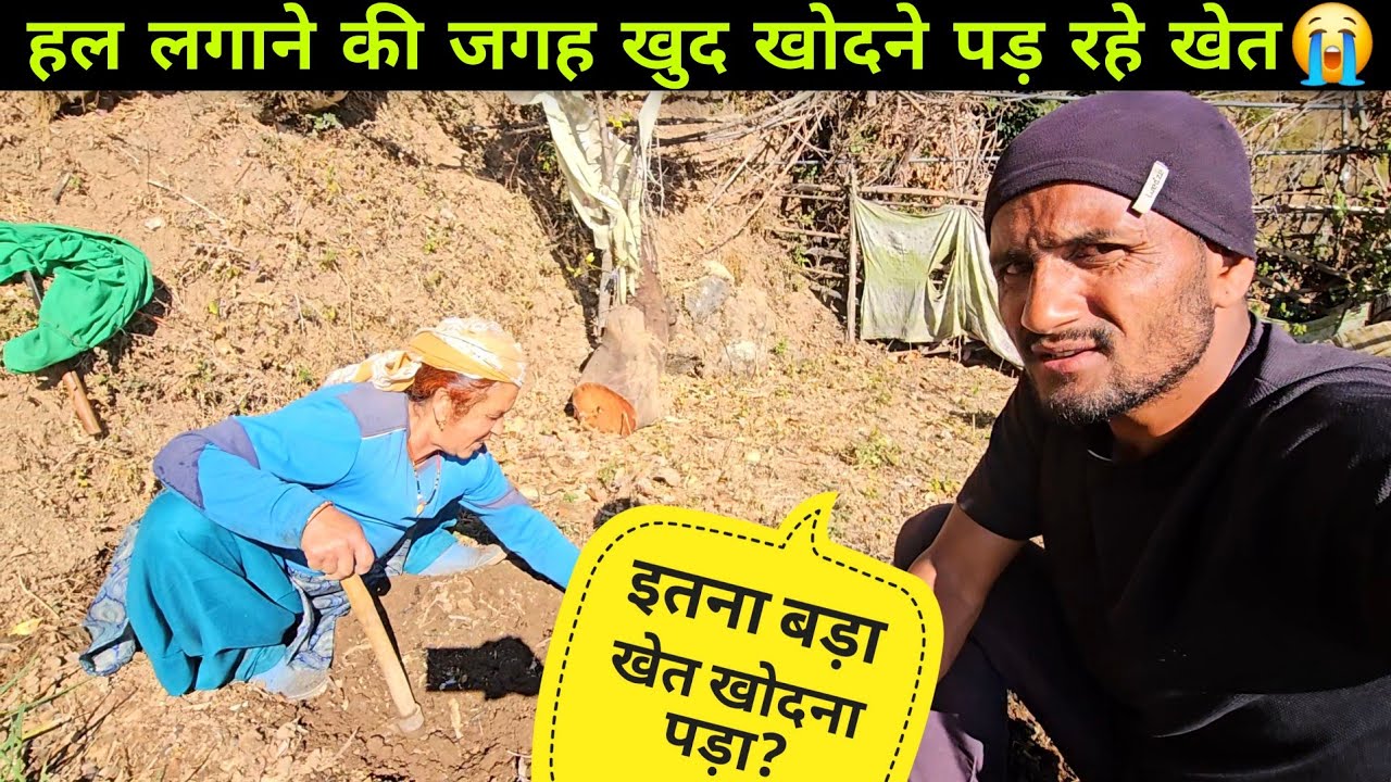 Почему нам приходится перекапывать такие огромные поля, где когда-то стояли плуги? Видеоблог о жи...