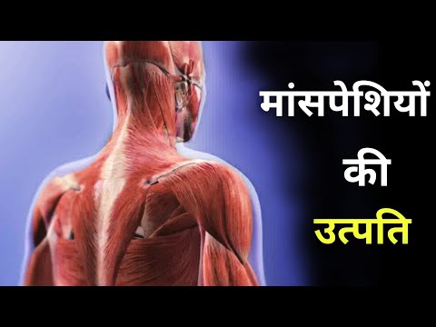 वीडियो: मांसपेशी प्रक्रिया से कौन सी पेशी जुड़ती है?