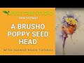 Brusho Poppy Seed Head Lesson with Joanne Boon Thomas