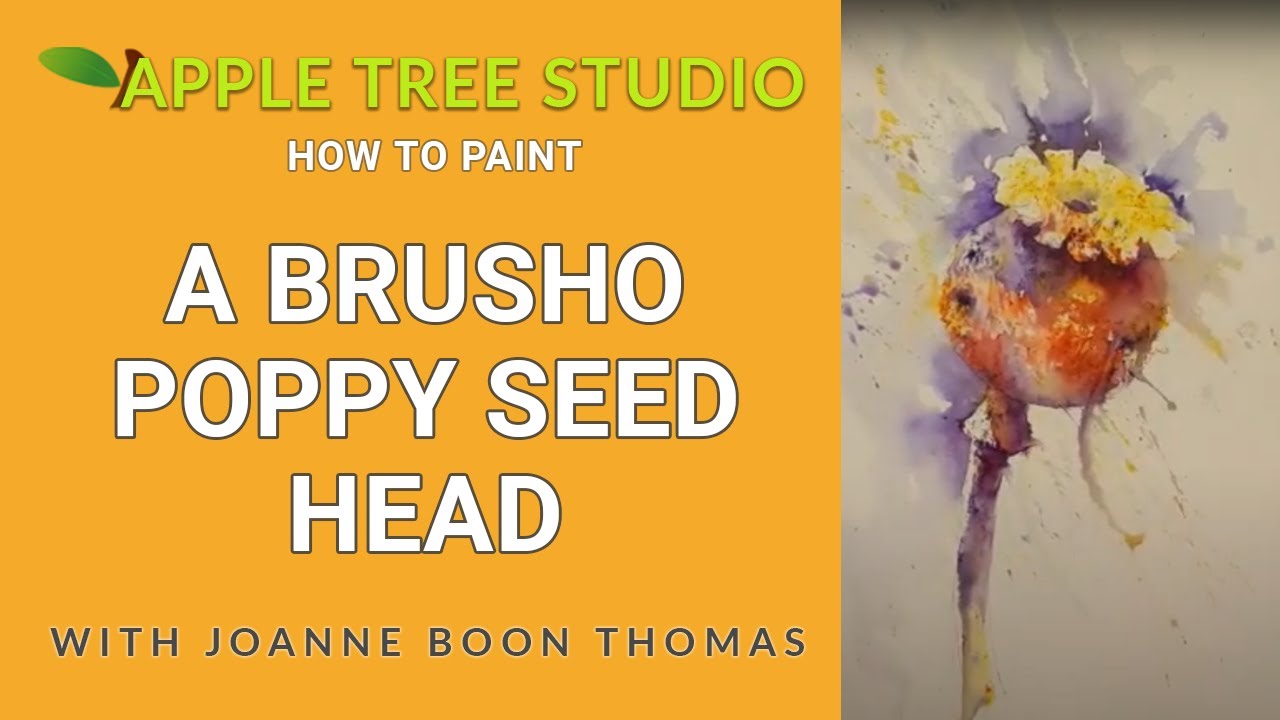 Урок по рисованию головы из семян мака Brusho с Джоанной Бун Томас