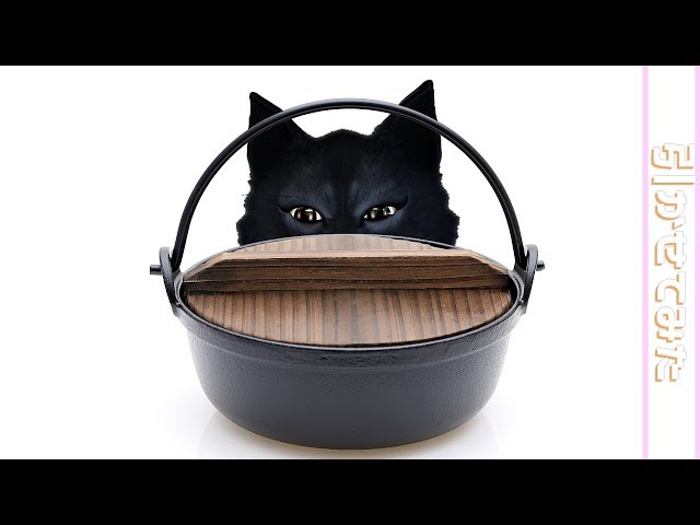 黒猫のウィズ】最高で約17万円相当が無料で引けるガチャ《最大777連