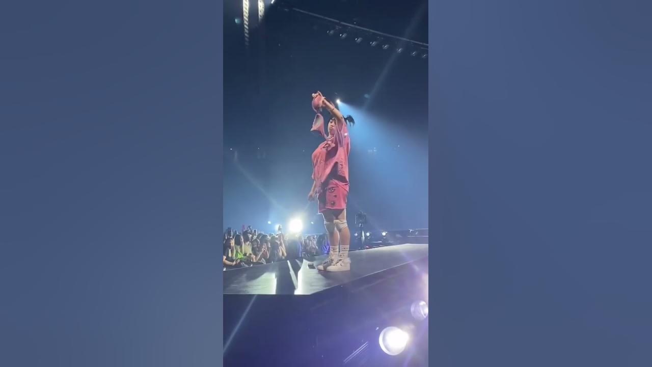 Billie Eilish Catches Bra While Performing