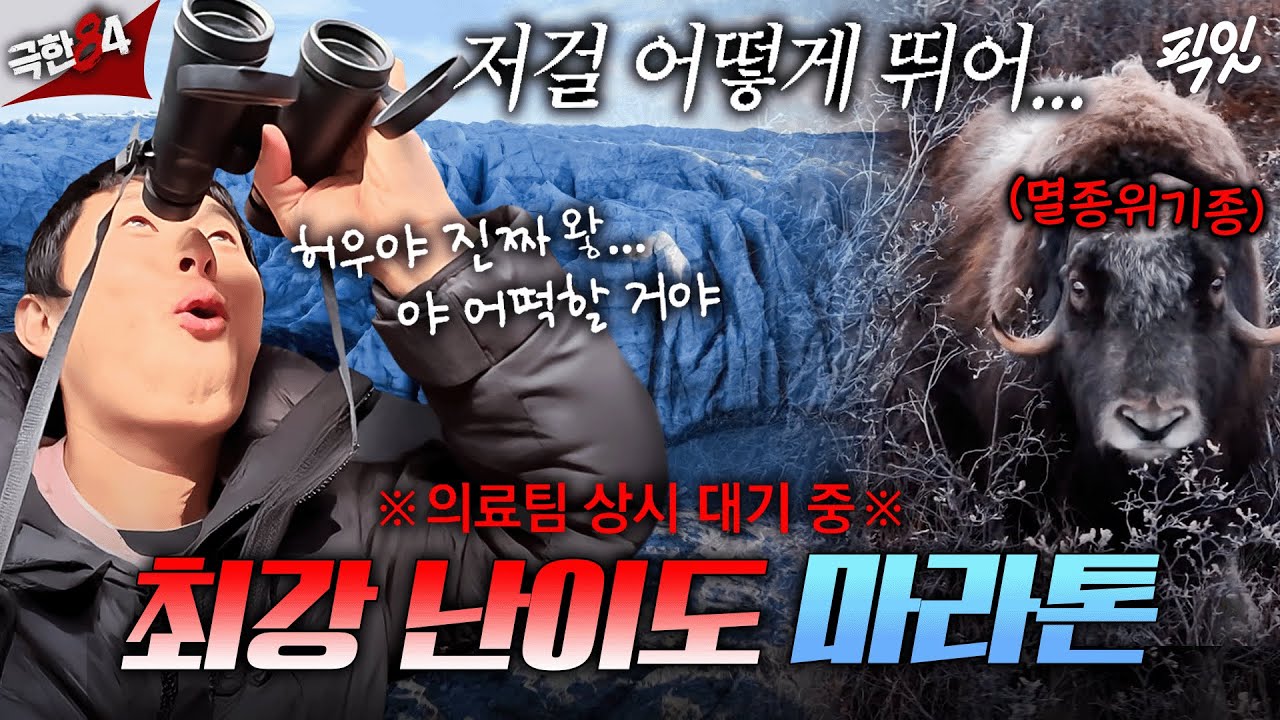 [극한84] ㅣ야생 동물부터 추락한 비행기까지😮... 기안84 원픽 된 북극의 경이로운 자연 경관 