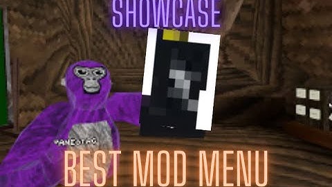 ShowCaseing A Very Speical Gtag Mod Menu