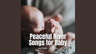 Soothing Brook Serenade