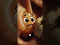 Earwax (cerumen) is a natural, protective substance produced in the outer ear canal that traps dust,