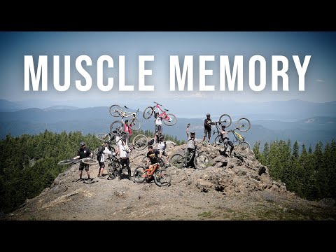 Muscle Memory