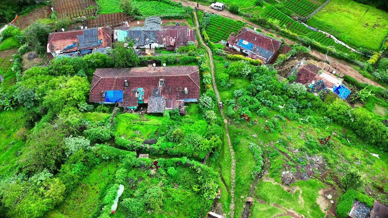 Lower Prospect Estate 360 view 