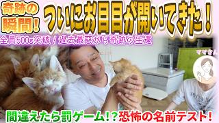 【目の開かない天使たち】生きるための大戦争！少しずつ開くお目目と、命のバトン。