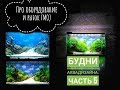 Будни Аквадизайна. Часть 5. Природный аквариум. акваскейп. nature aquarium