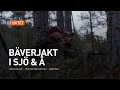 Bäverjakt i sjö & å