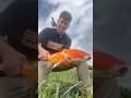 First ever Koi! #fish #fishing #koi #koifish #carp #carpfishing #flyfishing #flyfishingjunkie #god