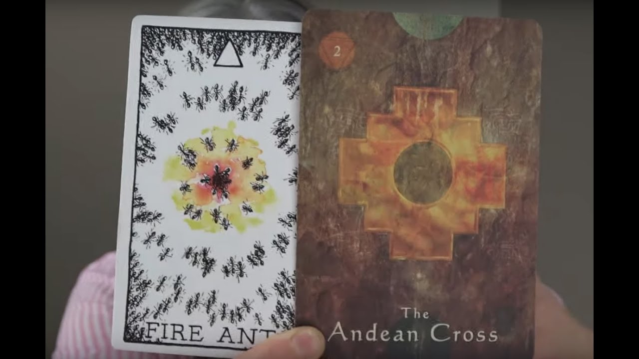 Aries - Will This Be Too Much Attention Even For You Aries - Open Spiritual Reading.