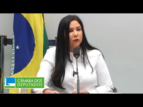 COMISSÃO DE VIAÇÃO E TRANSPORTES