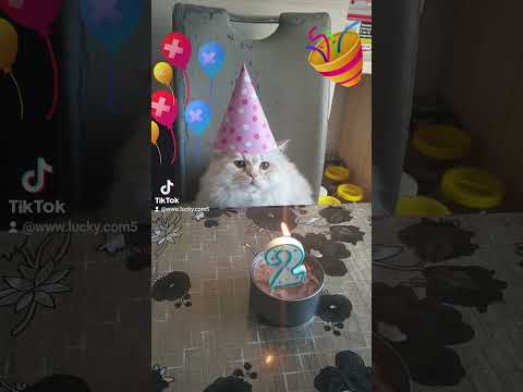  عيد ميلاد لوكي