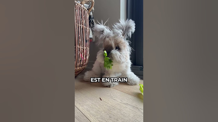 L'animal de compagnie le plus cher du monde