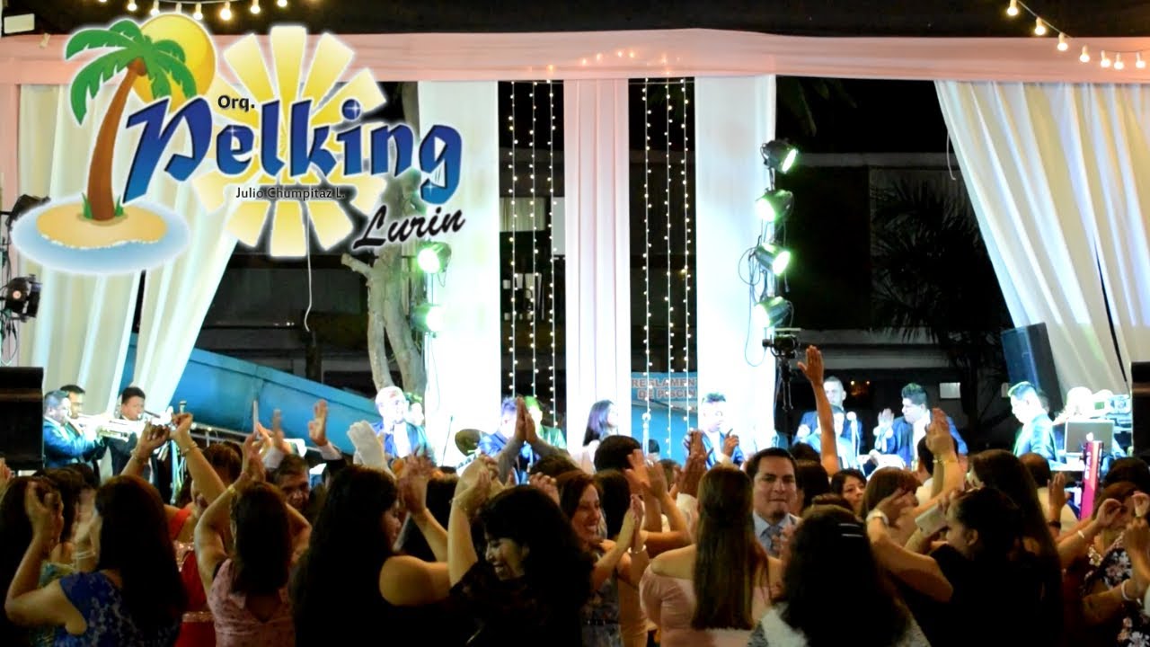 ALIMAÑA / APOSTEMOS QUE ME CASO / MIX LIZANDRO M. – ORQUESTA PELKING (EN VIVO)