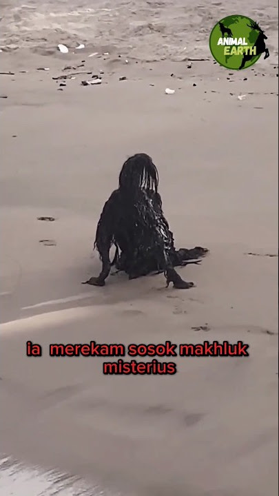 Makhluk misterius di pantai❗#shorts