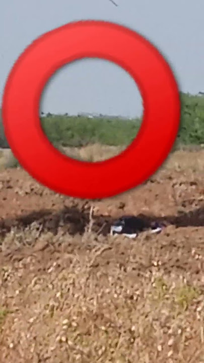 ⭕😱⭕😱⭕🌞⭕