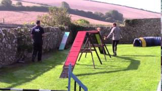 Watercombe Dog Agility - Agility Training - Poppy & Roxy