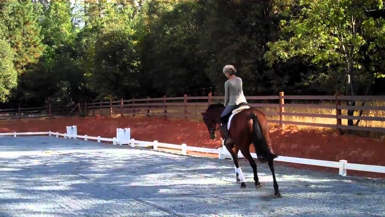 Crow's Ear Farm-The Big Island